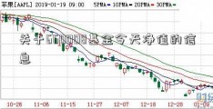 关于660008基金今天净值的信息