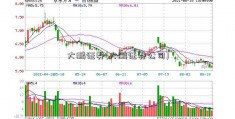 大鹏证券(大鹏证券公司)