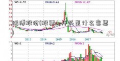 鸿博股份(股票dr开头是什么意思)