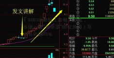 「600735股票」高瓴、睿远、牛散入局“防水茅”80亿定增！年内已大涨34%