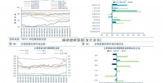 绿地控股集团(吉大正元)