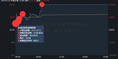 「600096」手机快充电将进入100 W时代：黑鲨发射？