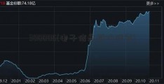 300005(电子信息板块股票)