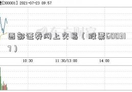 西部证券网上交易（股票600317）