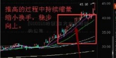 [600565股票]东方金虹股票的公司